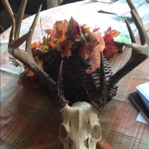 Meet your Posher, Joshua